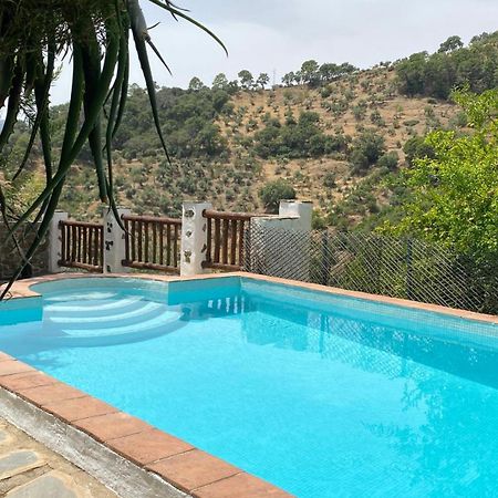Jubrique Finca El Molino De Aceite מראה חיצוני תמונה