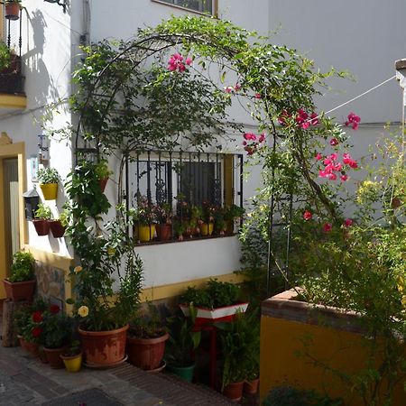 Jubrique Finca El Molino De Aceite מראה חיצוני תמונה
