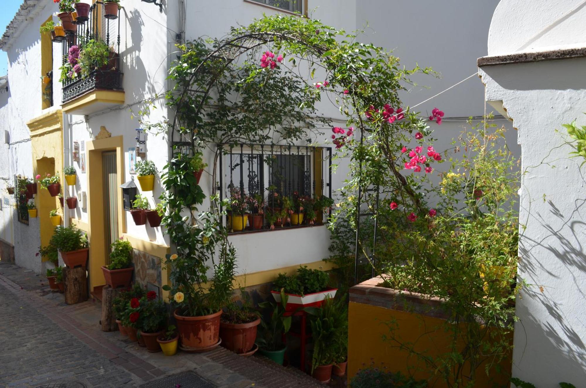Jubrique Finca El Molino De Aceite מראה חיצוני תמונה