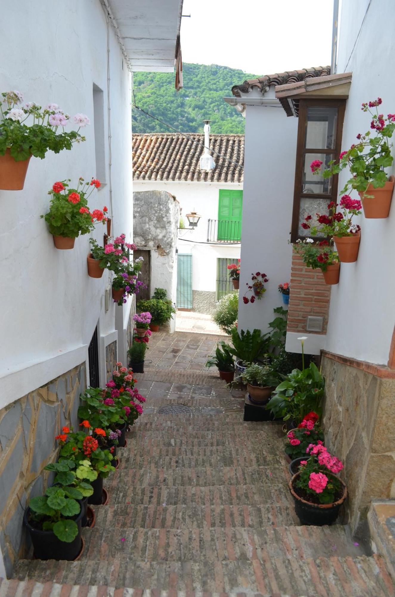 Jubrique Finca El Molino De Aceite מראה חיצוני תמונה