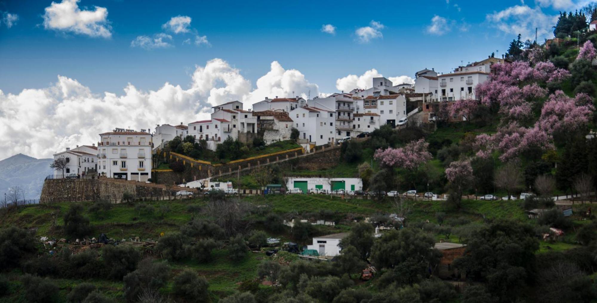 Jubrique Finca El Molino De Aceite מראה חיצוני תמונה