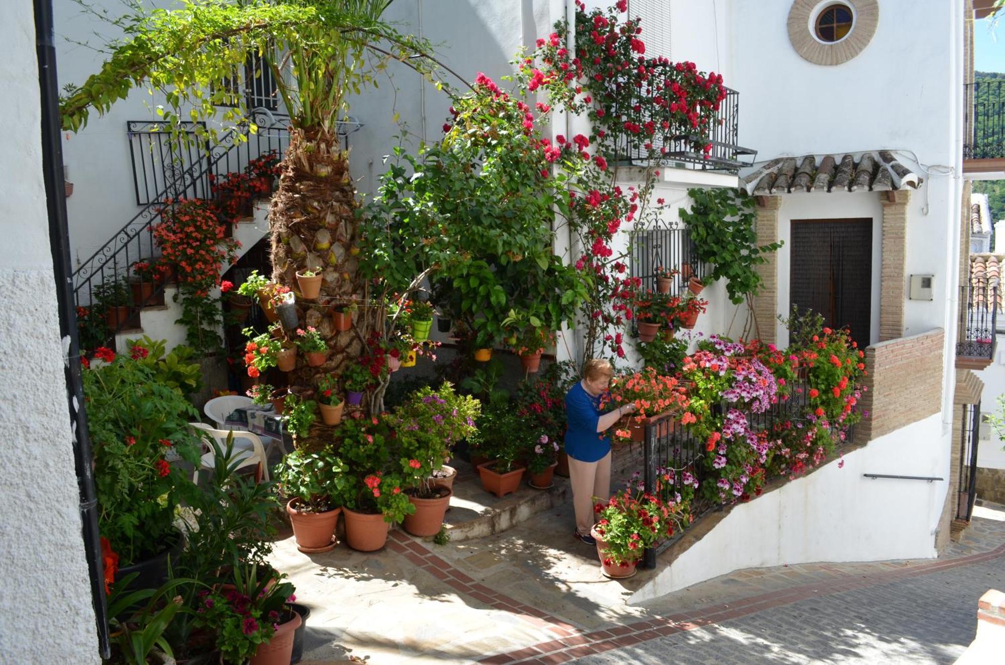 Jubrique Finca El Molino De Aceite מראה חיצוני תמונה