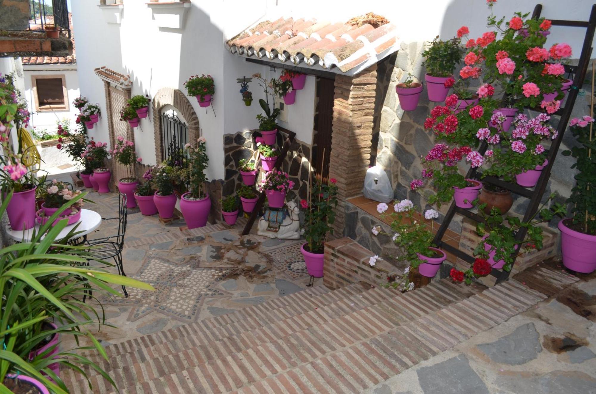 Jubrique Finca El Molino De Aceite מראה חיצוני תמונה