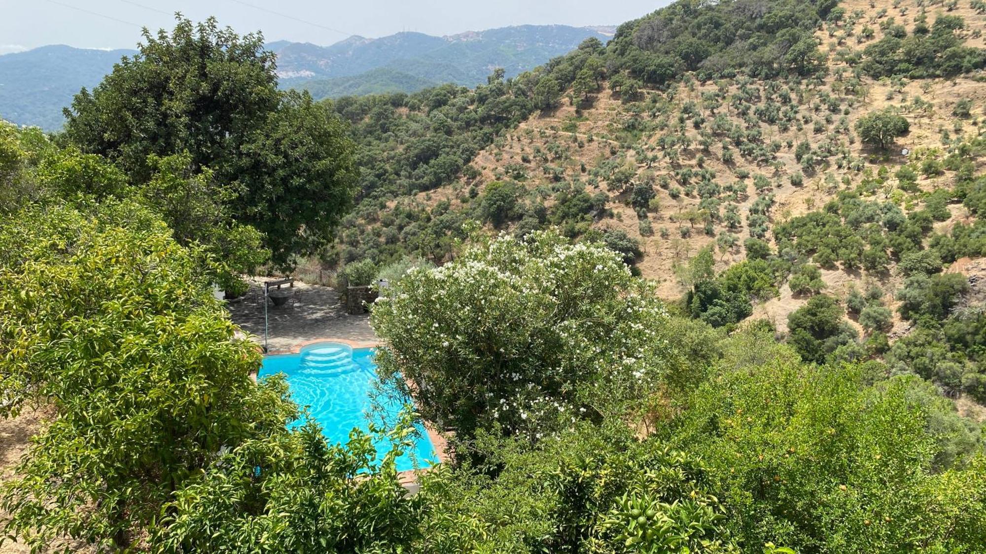 Jubrique Finca El Molino De Aceite מראה חיצוני תמונה